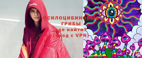 2c-b Алексин