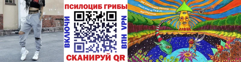 Псилоцибиновые грибы ЛСД  Звенигород 